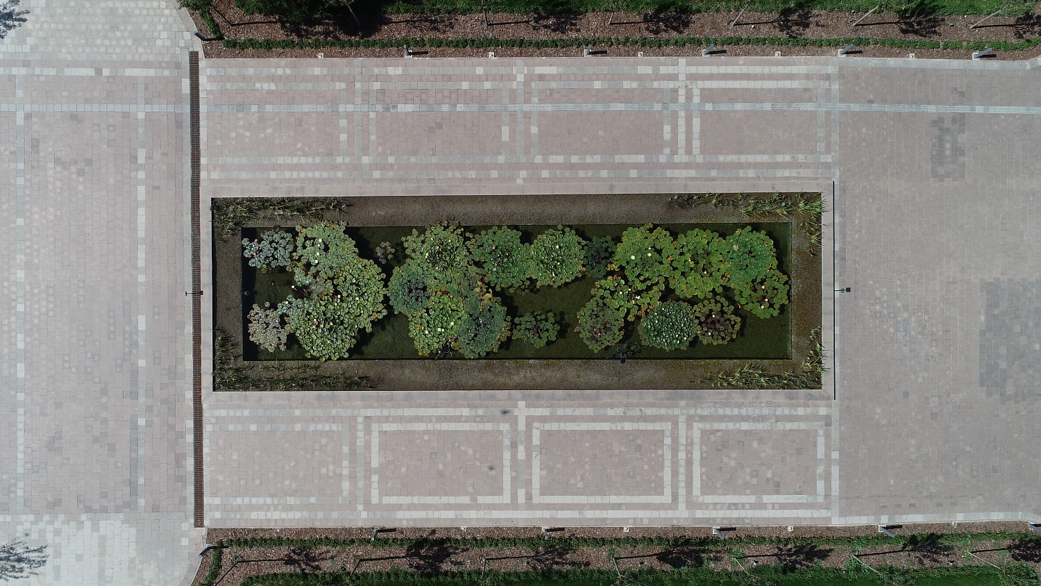 Ботанический сад, г.Алматы