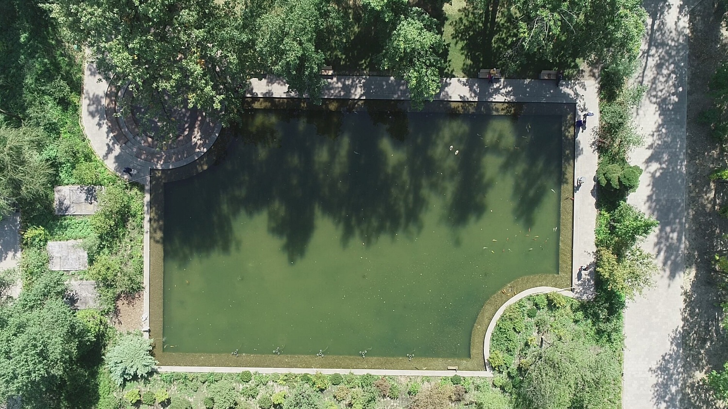 Ботанический сад, г.Алматы