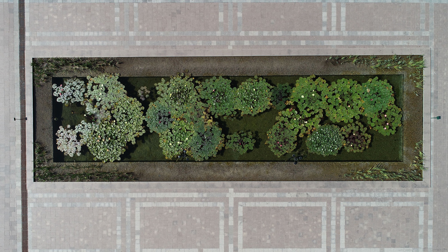 Ботанический сад, г.Алматы