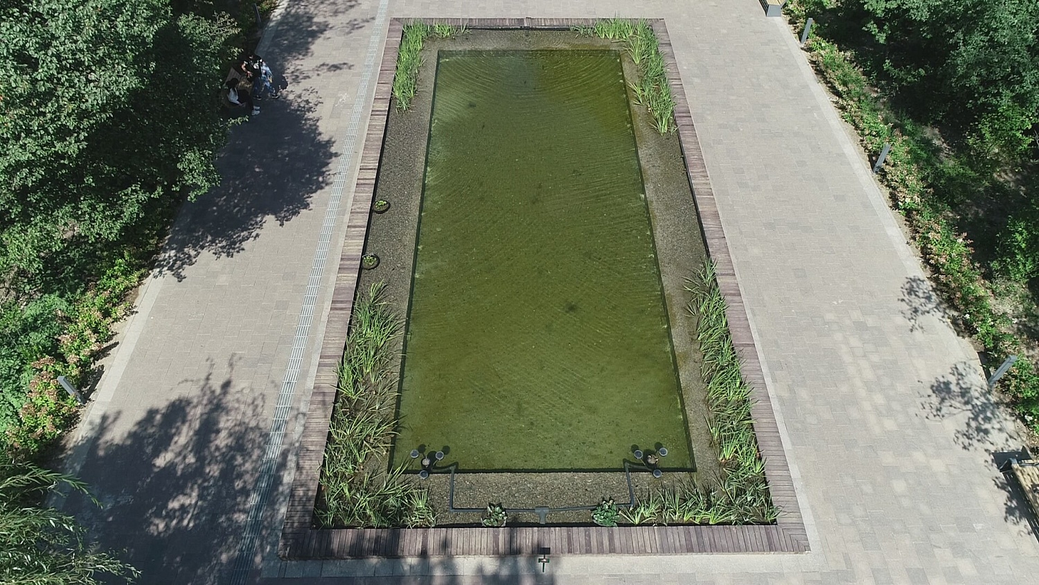 Ботанический сад, г.Алматы