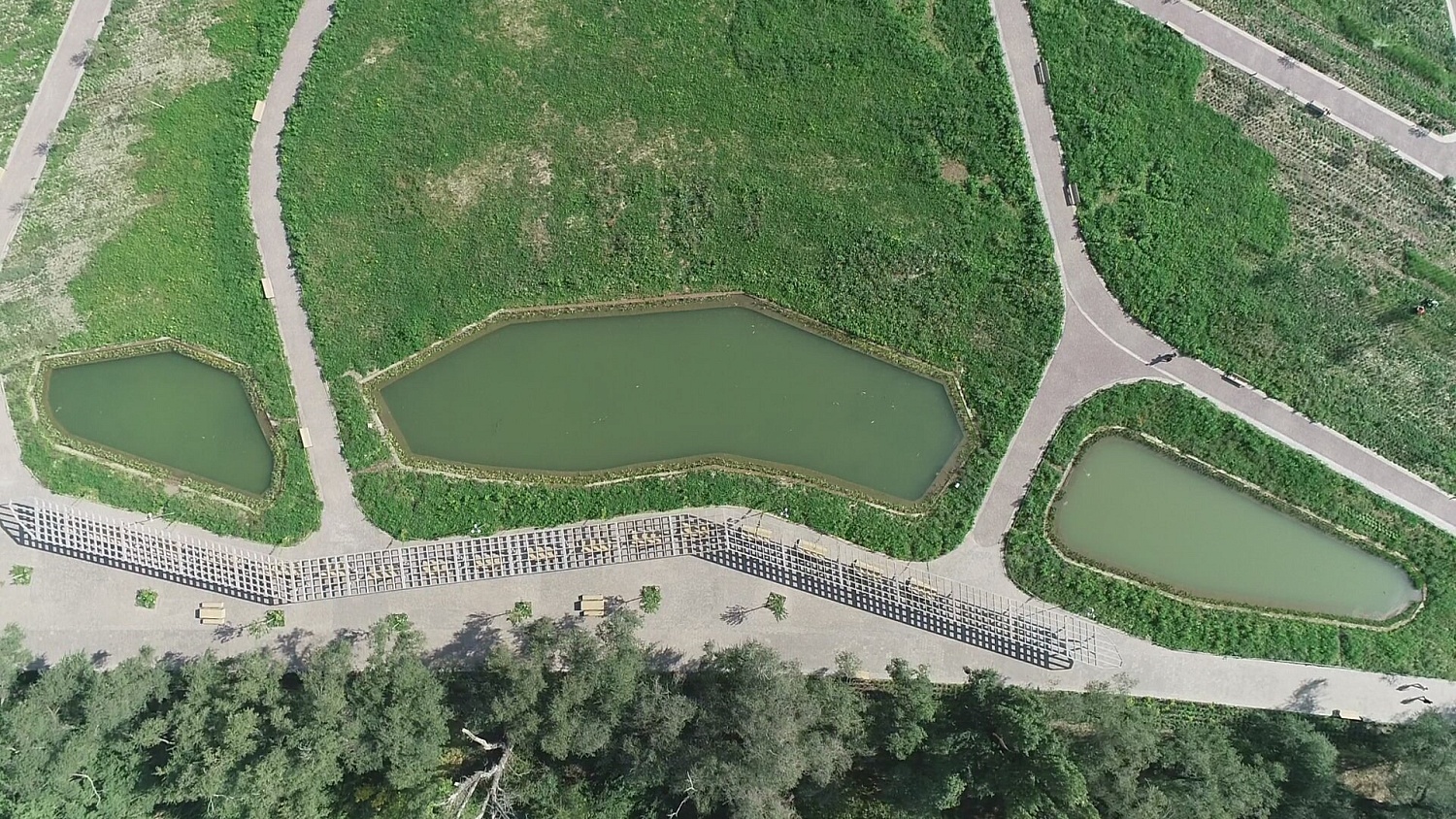 Ботанический сад, г.Алматы