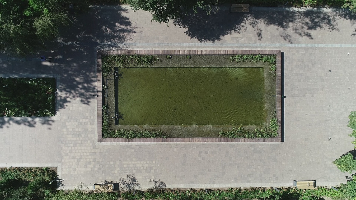 Ботанический сад, г.Алматы