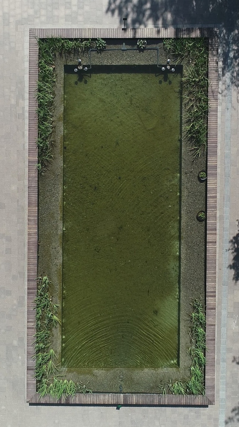 Ботанический сад, г.Алматы